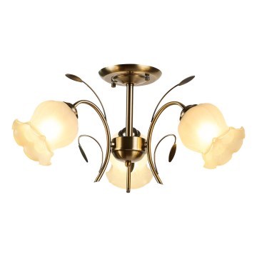 Brilagi - Lampadario a plafone FLORA 3xE14/60W/230V bronzo