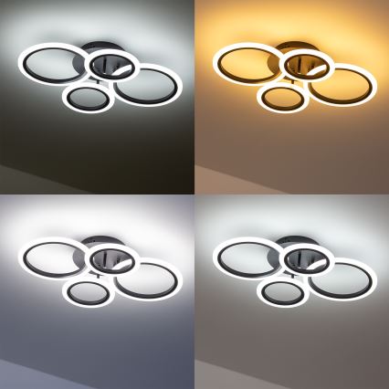 Brilagi - Lampadario a plafone LED dimmerabile ORBITS LED/50W/230V 3000-6500K antracite + telecomando