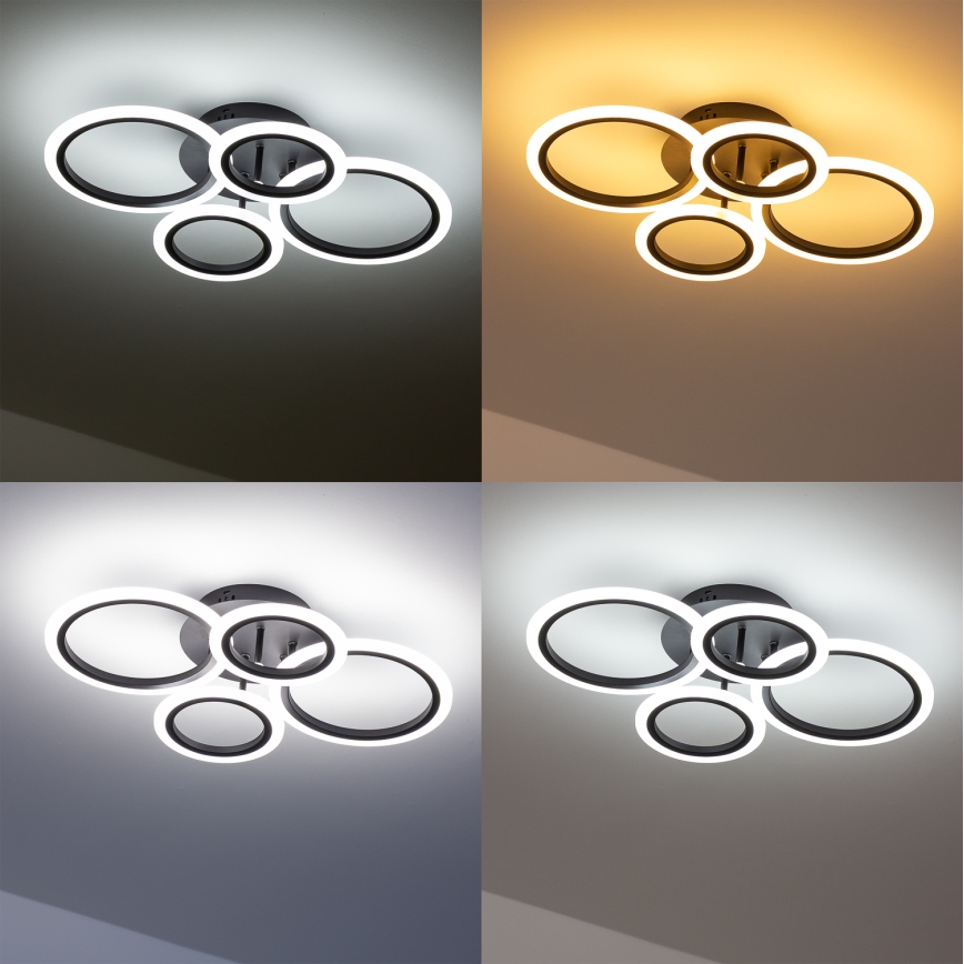 Brilagi - Lampadario a plafone LED dimmerabile ORBITS LED/50W/230V 3000-6500K antracite + telecomando