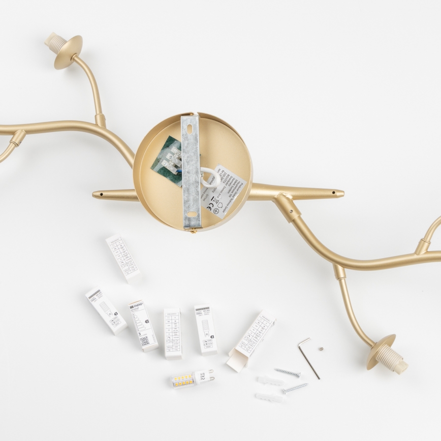 Brilagi - Lampadario a plafone LED MISTEL 6xG9/3W/230V oro