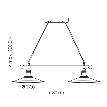Brilagi - Lampadario a sospensione con cavo FORGE 2xE27/60W/230V nero