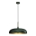 Brilagi - Lampadario a sospensione con filo ABRAHAM 1xE27/60W/230V diametro 45 cm verde