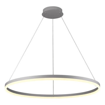 Brilagi - Lampadario a sospensione con filo LED dimmerabile CIRCLE LED/55W/230V 3000-6500K argento + telecomando