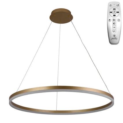 Brilagi - Lampadario a sospensione con filo LED dimmerabile CIRCLE LED/55W/230V 3000-6500K oro + telecomando