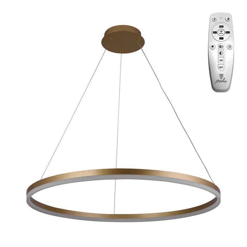 Brilagi - Lampadario a sospensione con filo LED dimmerabile CIRCLE LED/55W/230V 3000-6500K oro + telecomando