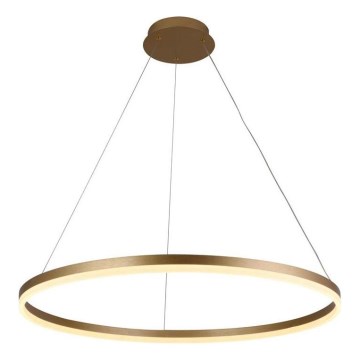 Brilagi - Lampadario a sospensione con filo LED dimmerabile CIRCLE LED/55W/230V 3000-6500K oro + telecomando