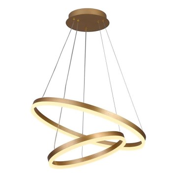 Brilagi - Lampadario a sospensione con filo LED dimmerabile CIRCLE LED/70W/230V 3000-6500K oro + telecomando