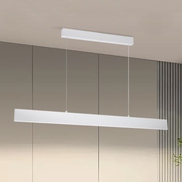 Brilagi - Lampadario a sospensione con filo LED dimmerabile SLIMLINE LED/40W/230V 3000-6000K bianco + telecomando