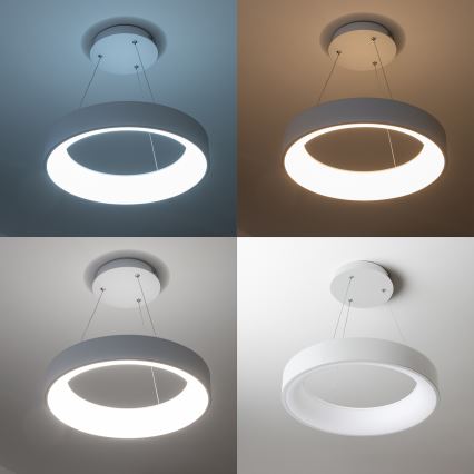 Brilagi - LED Lampadario dimmerabile su cavo FALCON LED/80W/230V 3000-6500K Ø 60 cm bianco + telecomando