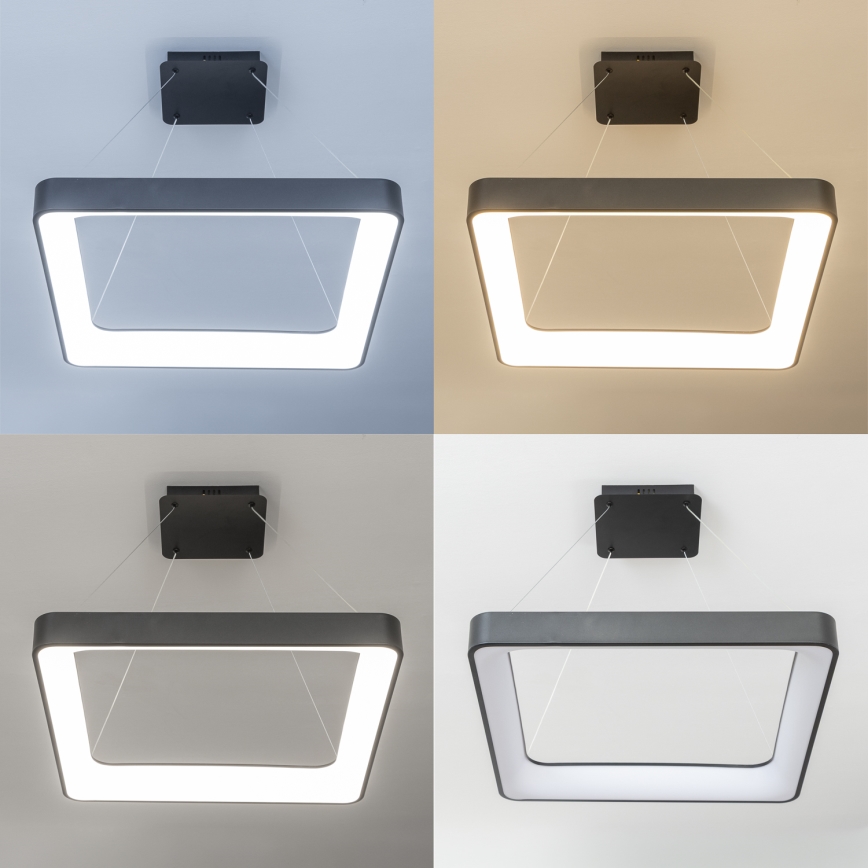 Brilagi - Lampadario LED dimmerabile a sospensione con cavo FALCON II LED/125W/230V 3000-6500K 60x60 cm nero + telecomando