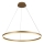 Brilagi - Lampadario a sospensione LED dimmerabile su cavo CIRCLE LED/55W/230V 3000-6500K Ø 80 cm dorato + telecomando
