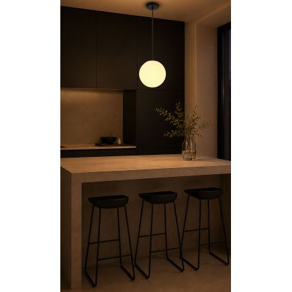 BRILAGI - Lampadario a sospensione su cavo POLOS 1xE27/40W/230V Ø 20 cm nero