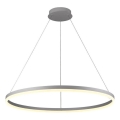 Brilagi - Lampadario dimmerabile LED a sospensione con cavo CIRCLE LED/55W/230V 3000-6500K Ø 80 cm argento + telecomando