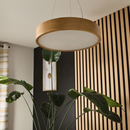 Brilagi - Lampadario LED a cavo CARVALHO 3xE27/15W/230V in rovere, Ø 47,5 cm