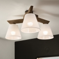 Brilagi - Lampadario LED a plafone ANTHONY 3xE14/40W/230V rovere noce/bianco