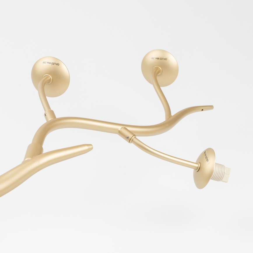 Brilagi - Lampadario LED a sospensione con filo MISTEL 6xG9/3W/230V oro/bianco