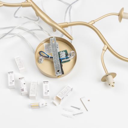 Brilagi - Lampadario LED a sospensione con filo MISTEL 6xG9/3W/230V oro/bianco