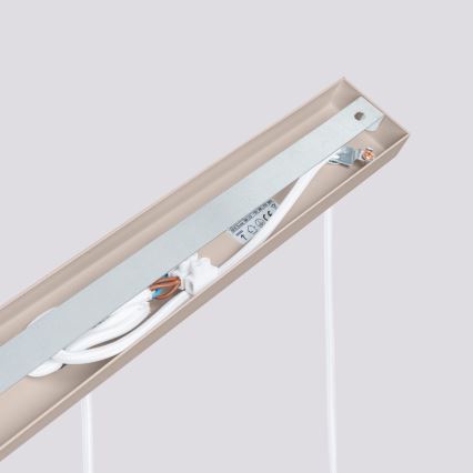 Brilagi - Lampadario LED a sospensione su cavo CRESTO 3xGU10/10W/230V taupe