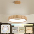 Brilagi - Lampadario LED a sospensione su cavo FALCON WOOD MODERN LED/30W/230V 3000/4000/6000K Ø 45 cm legno