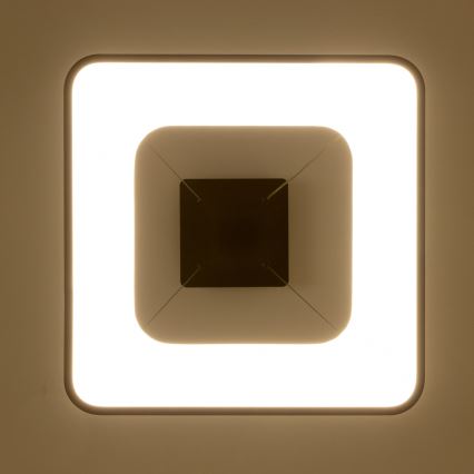 Brilagi - Lampada a sospensione LED dimmerabile su cavo FALCON II LED/80W/230V 3000-6500K 40x40 cm nero + telecomando