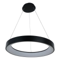 Brilagi - Lampadario LED dimmerabile a cavo FALCON II LED/99W/230V 3000-6500K Ø 60 cm nero + telecomando