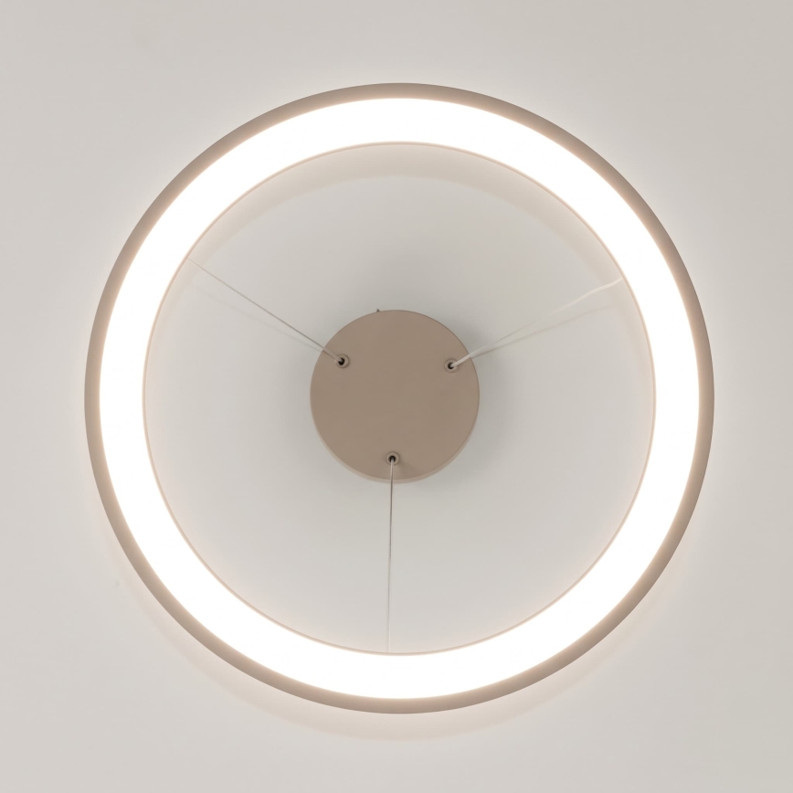 BRILAGI - Lampadario dimmerabile sospeso a cavo FALCON SLIM LED/42W/230V 3000-6500K Ø 50 cm beige + telecomando