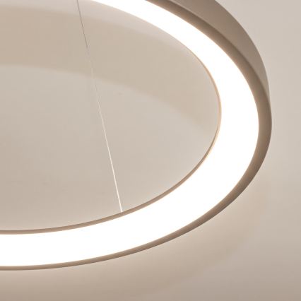BRILAGI - Lampadario dimmerabile sospeso a cavo FALCON SLIM LED/42W/230V 3000-6500K Ø 50 cm beige + telecomando