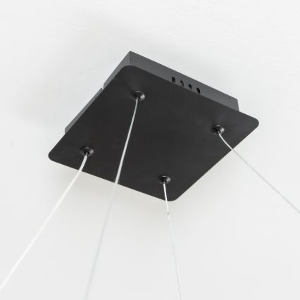 Brilagi - LED lampadario sospeso dimmerabile con cavo FALCON SLIM LED/50W/230V 3000-6500K 50x50 cm nero + telecomando