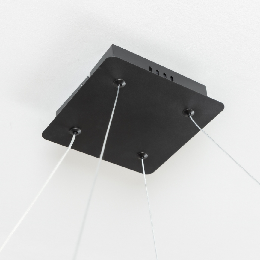Brilagi - LED lampadario sospeso dimmerabile con cavo FALCON SLIM LED/50W/230V 3000-6500K 50x50 cm nero + telecomando
