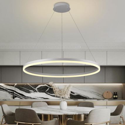 Brilagi - Lampada a sospensione LED dimmerabile su cavo CIRCLE LED/55W/230V 3000-6500K + telecomando