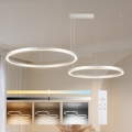 Brilagi - Lampadario LED dimmerabile a sospensione su cavo PORTOFINO LED/98W/230V 3000-6000K argento + telecomando
