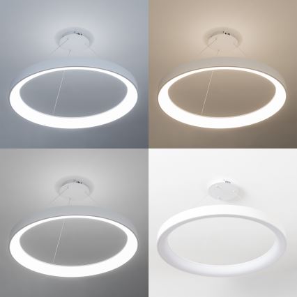 Brilagi - Lampadario a sospensione dimmerabile FALCON II LED 108 W 230 V 3000-6500 K Ø 80 cm bianco + telecomando