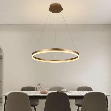 Brilagi - Lampadario LED dimmerabile a sospensione con cavo CIRCLE LED/42W/230V 3000-6500K Ø 60 cm + telecomando