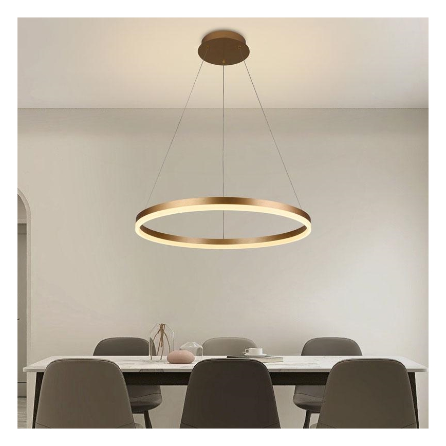 Brilagi - Lampadario LED dimmerabile a sospensione con cavo CIRCLE LED/42W/230V 3000-6500K Ø 60 cm + telecomando