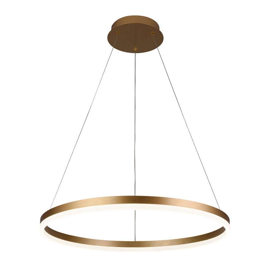 Brilagi - Lampadario LED dimmerabile a sospensione con cavo CIRCLE LED/42W/230V 3000-6500K Ø 60 cm + telecomando