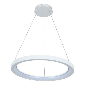 Brilagi - Lampadario LED dimmerabile su cavo FALCON SLIM LED/42W/230V 3000-6500K Ø 50 cm bianco + telecomando
