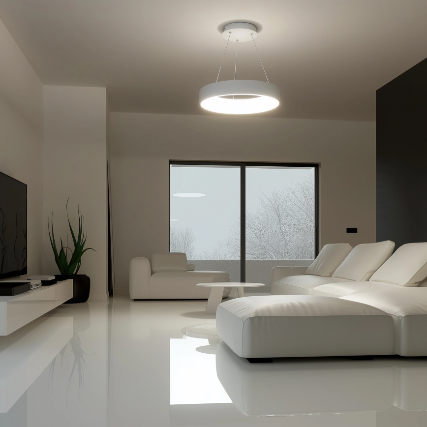 Brilagi - Lampadario LED Dimmerabile su corda FALCON LED/40W/230V 3000-6500K bianco + telecomando