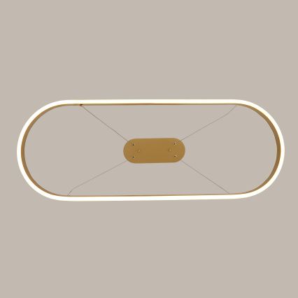 Brilagi - Lampadario LED sospeso su cavi PONDIE LED/44W/230V 80x30 cm oro