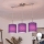 Brilagi - Lampadario LED su cavo NUBILA 3xE27/60W/230V viola