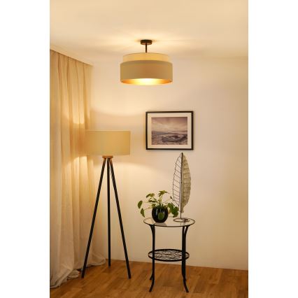 Brilagi - Plafoniera OREGON VEGE 1xE27/15W/230V diam. 45 cm beige