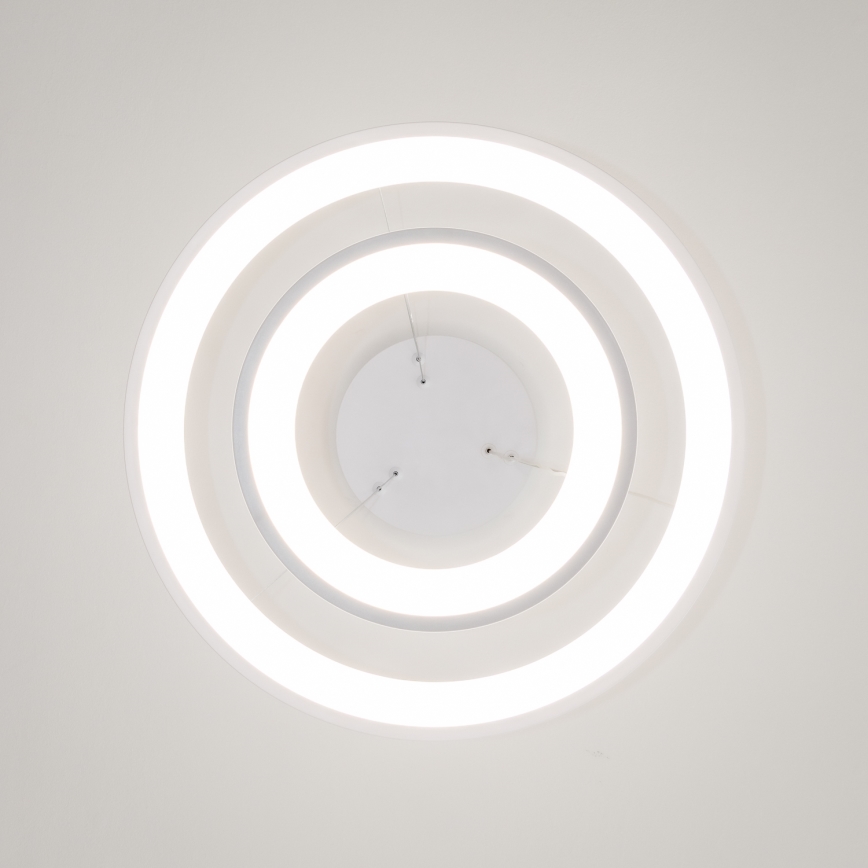 Brilagi - Lampadario LED dimmerabile sospeso su cavo FALCON SLIM LED/68W/230V 3000-6500K Ø 50 cm bianco + telecomando