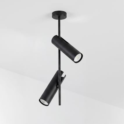 Brilagi - Lampadario su asta BRANCH 2xGU10/30W/230V nero