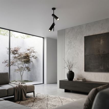 Brilagi - Lampadario su asta BRANCH 2xGU10/30W/230V nero