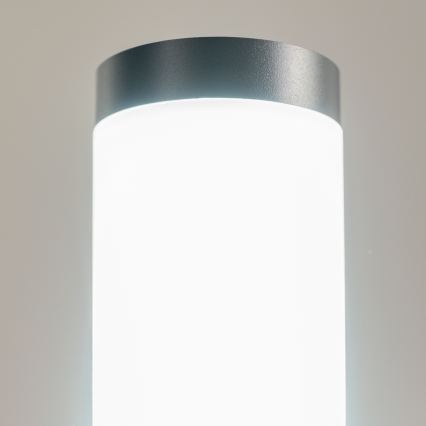 BRILAGI - Lampe d'extérieur avec détecteur ELIA 1xE27/20W/230V IP44 50 cm anthracite
