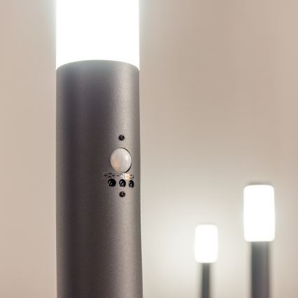 BRILAGI - Lampe d'extérieur avec détecteur ELIA 1xE27/20W/230V IP44 50 cm anthracite