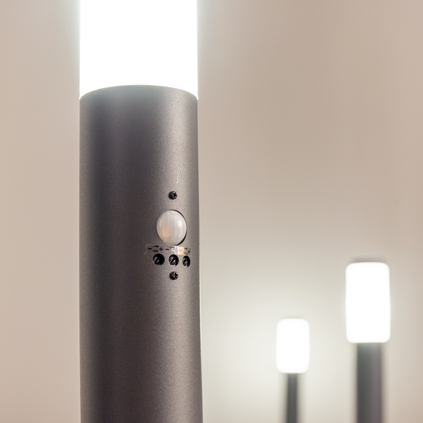 BRILAGI - Lampe d'extérieur avec détecteur ELIA 1xE27/20W/230V IP44 50 cm anthracite