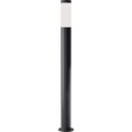 Brilagi - Lampe extérieure LED dimmable ELIA 1xE27/6W/230V 2700-6500K IP44 Wi-Fi 100 cm anthracite