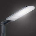 Brilagi - Lampione stradale LED da esterno URBANLIGHT LED/250W/230V antracite IP65