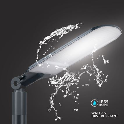Brilagi - Lampione stradale LED da esterno URBANLIGHT LED/250W/230V antracite IP65
