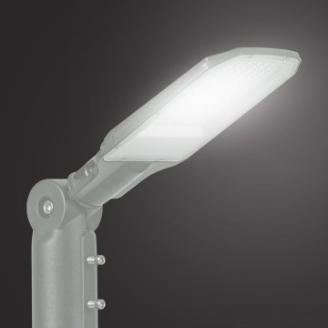 Brilagi - Lampione stradale LED da esterno URBANLIGHT LED/50W/230V grigio IP65
